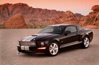 Shelby GT