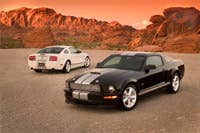 2007 Shelby GT