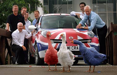 Nissan Micra Sport SR with geese
