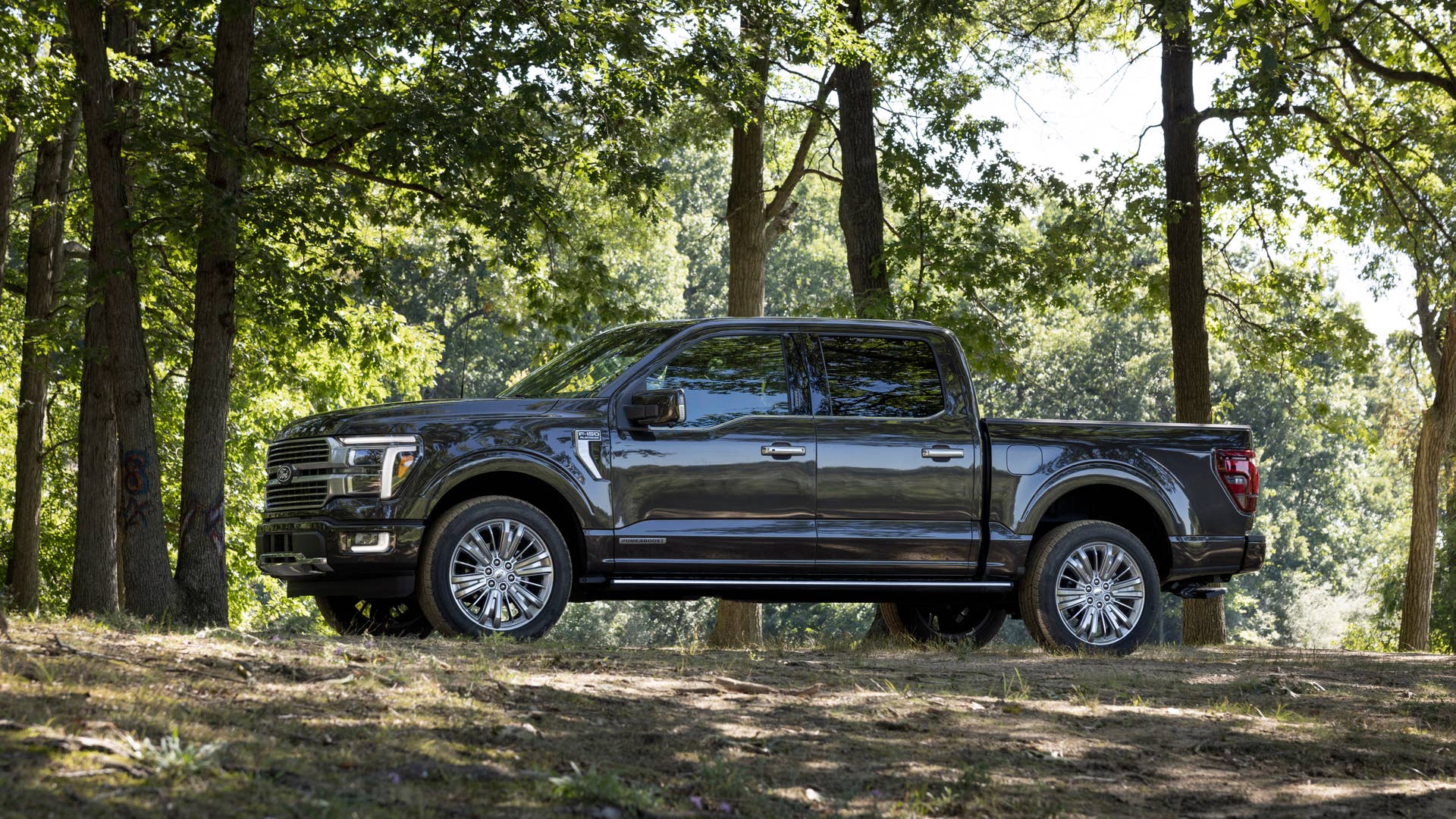 2024 Ford F-150 preproduction model with Ford accessories shown. Available early 2024. Actual production vehicle may vary.  Pro Access Tailgate available Spring 2024.