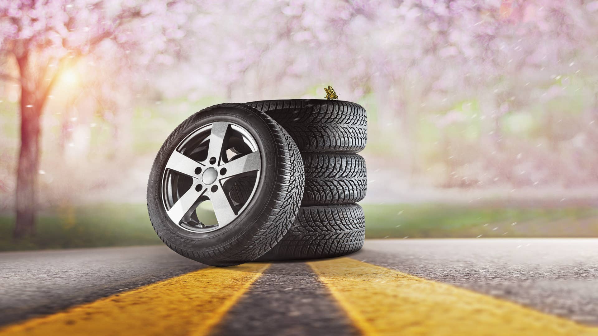 Car tires with a great profile in the car repair shop. Set of summer or winter tyres in front of white fond.