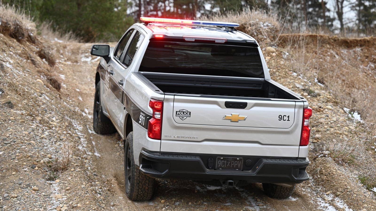 2023 Chevrolet Silverado PPV