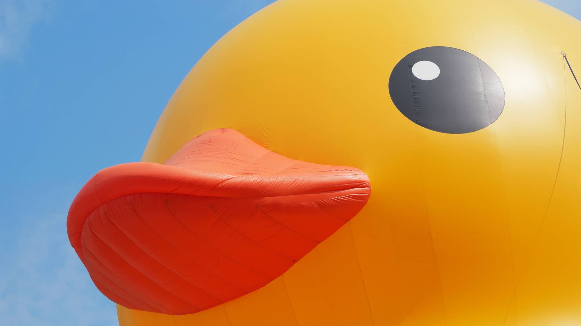 World's Largest Duck at the Detroit Auto Show