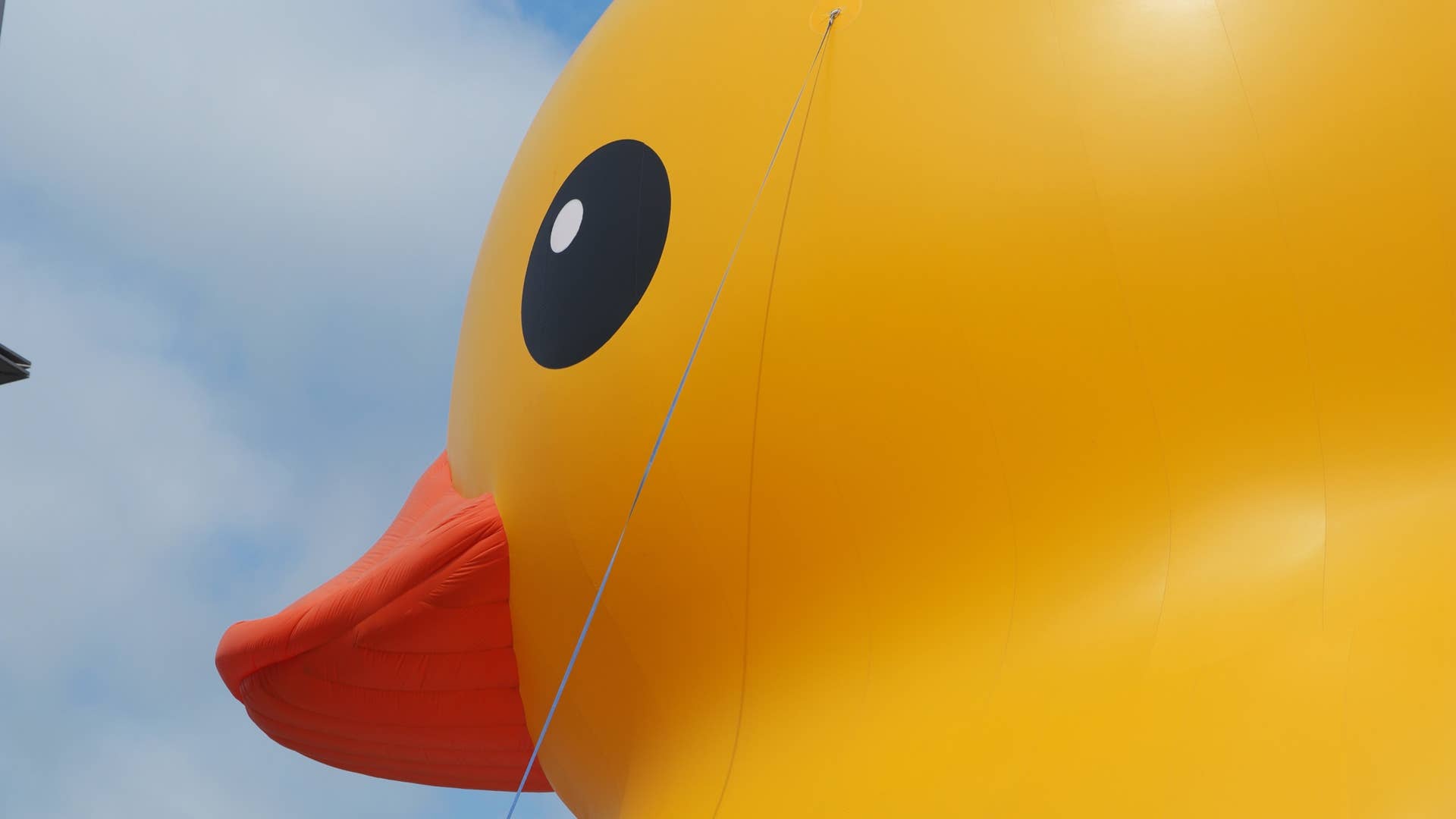 World's Largest Duck at the Detroit Auto Show