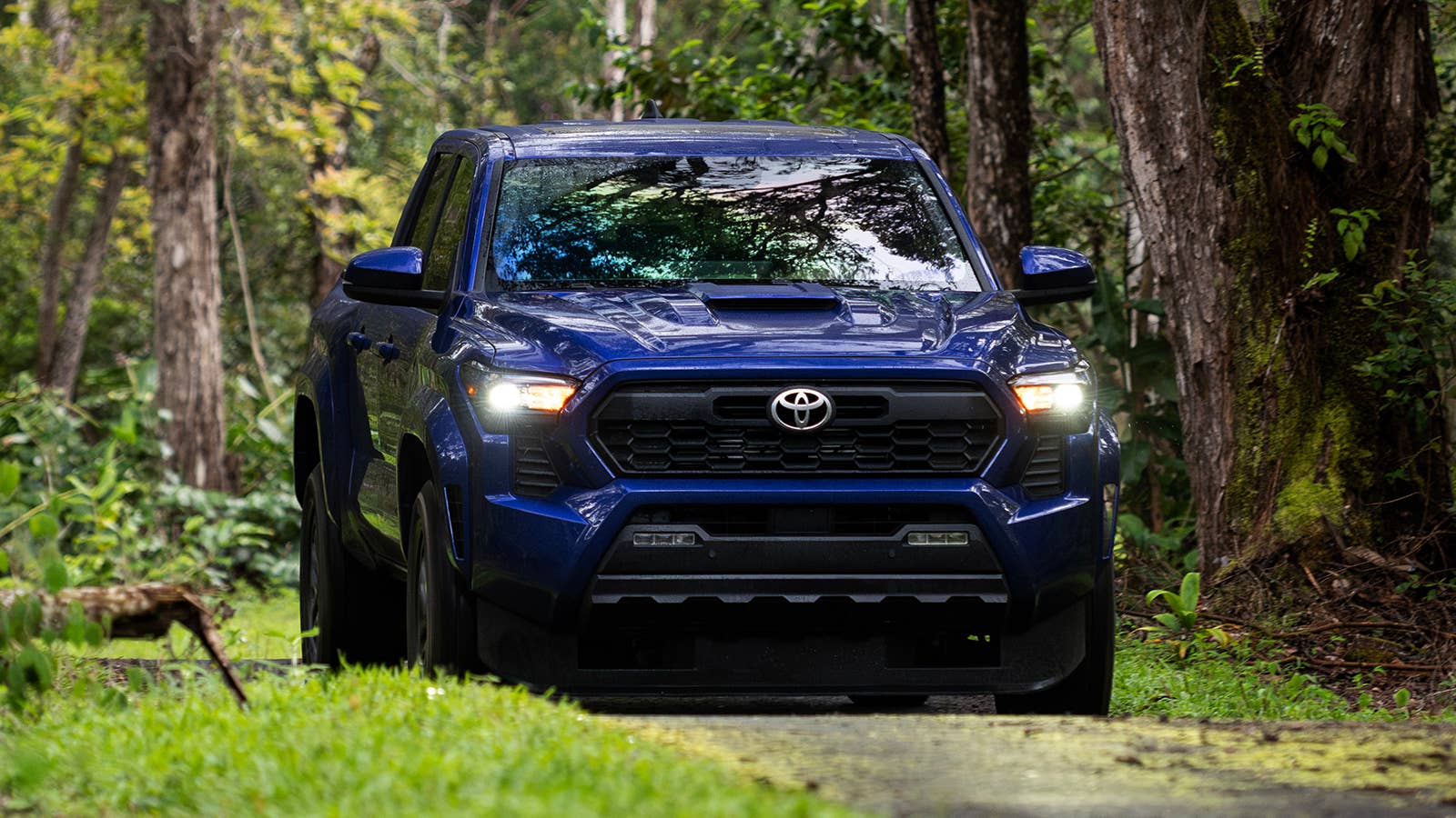 2024 Toyota Tacoma TRD Sport