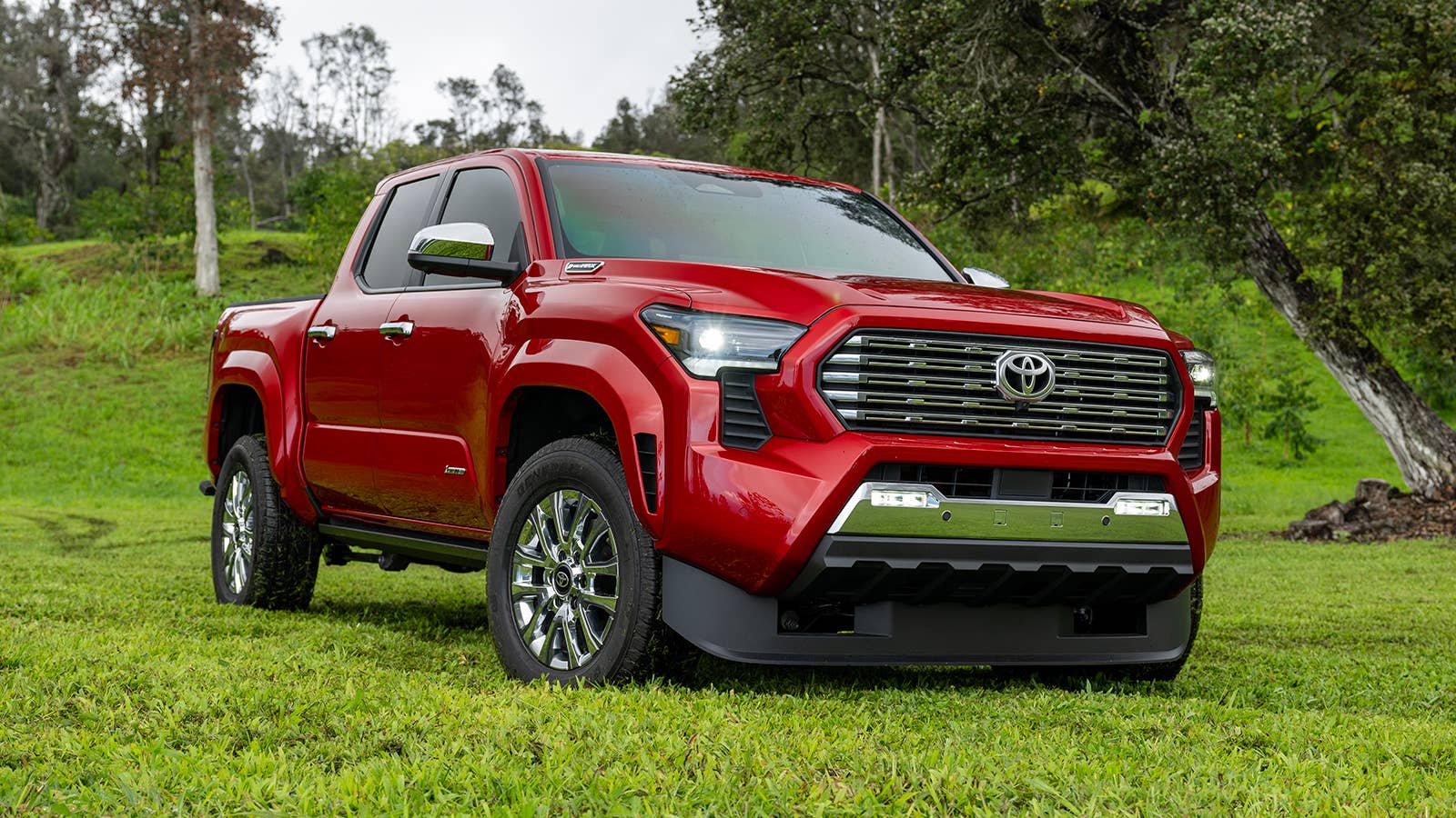 2024 Toyota Tacoma Limited