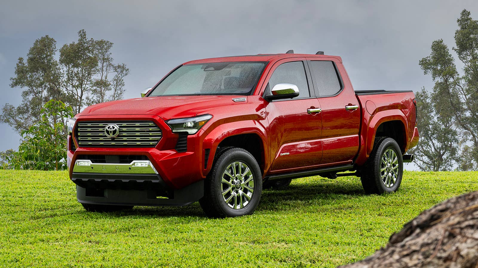 2024 Toyota Tacoma Limited