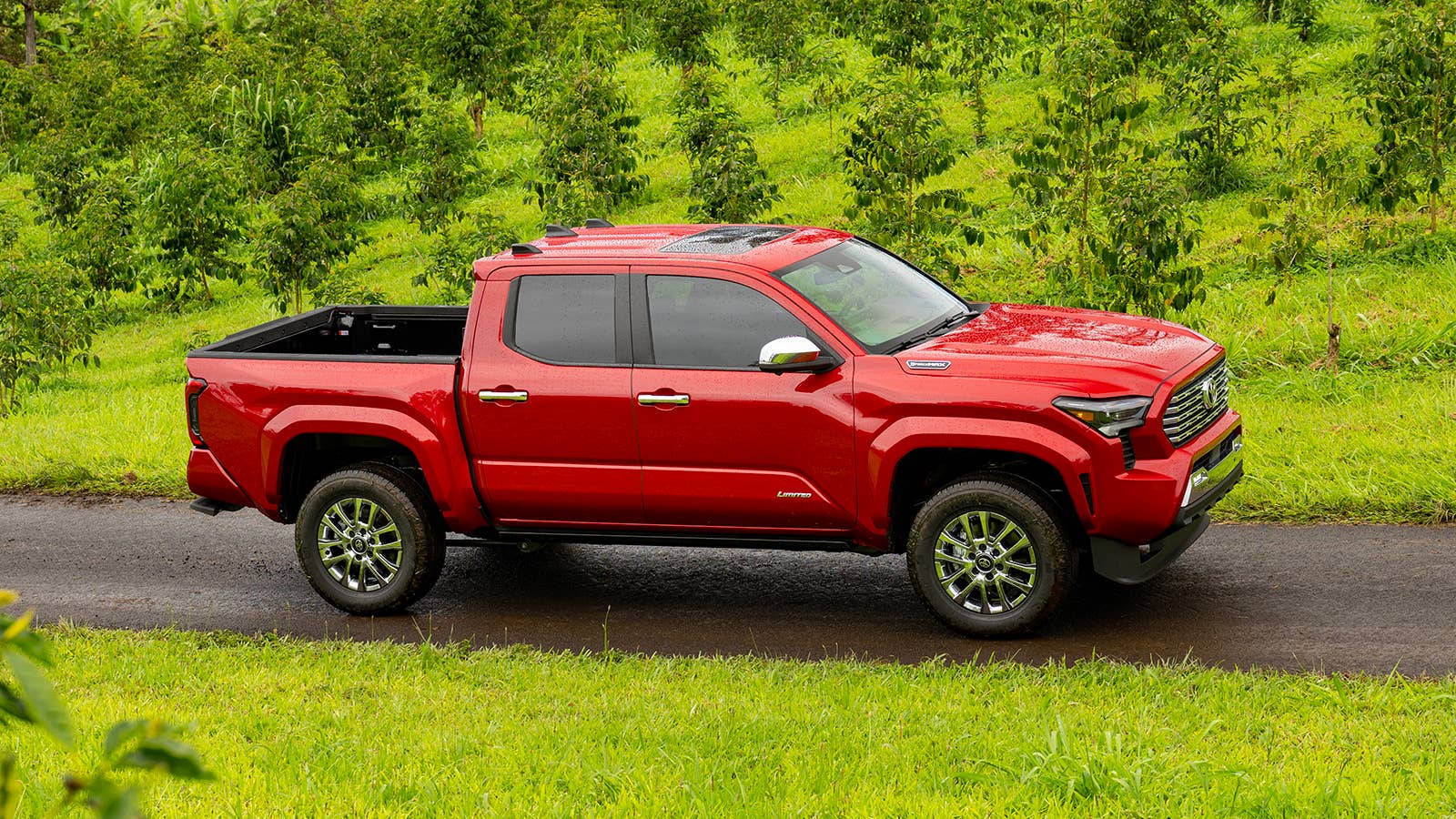 2024 Toyota Tacoma Limited