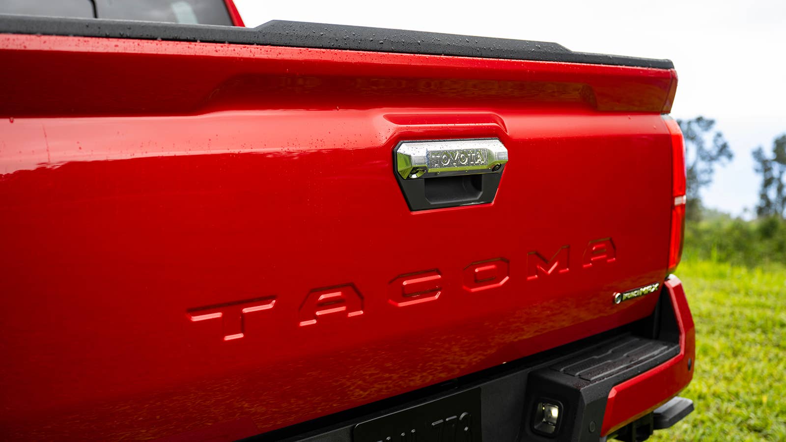 2024 Toyota Tacoma Limited