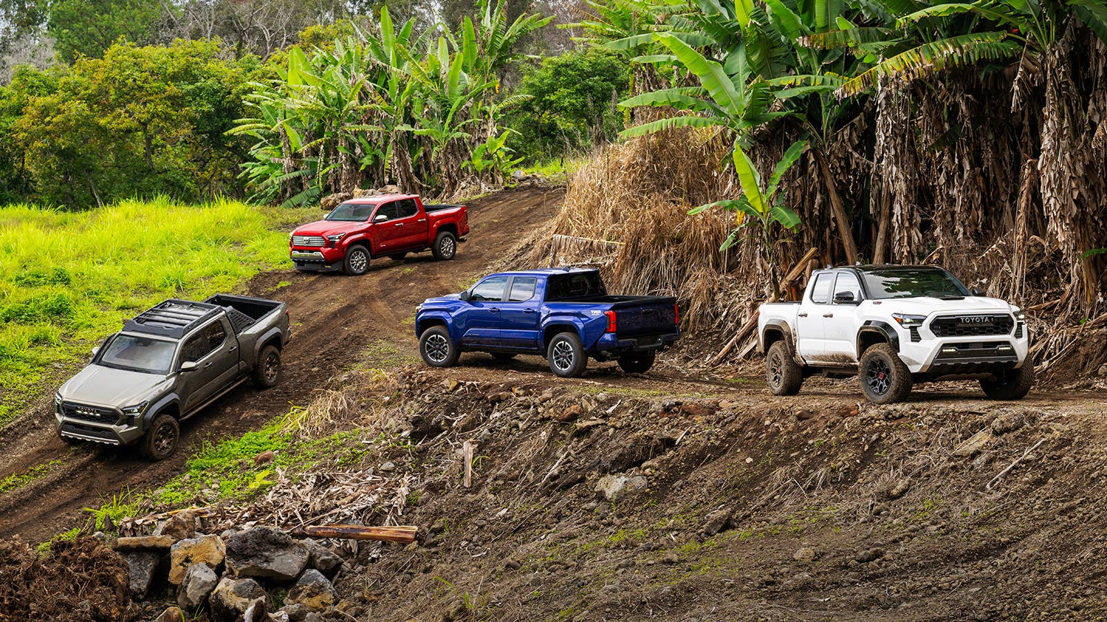2024 Toyota Tacoma line-up