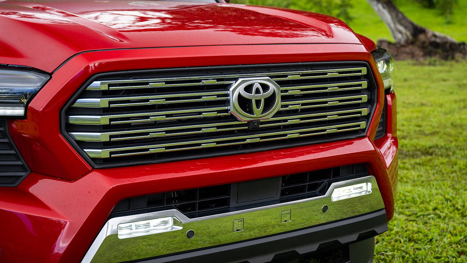 2024 Toyota Tacoma Limited