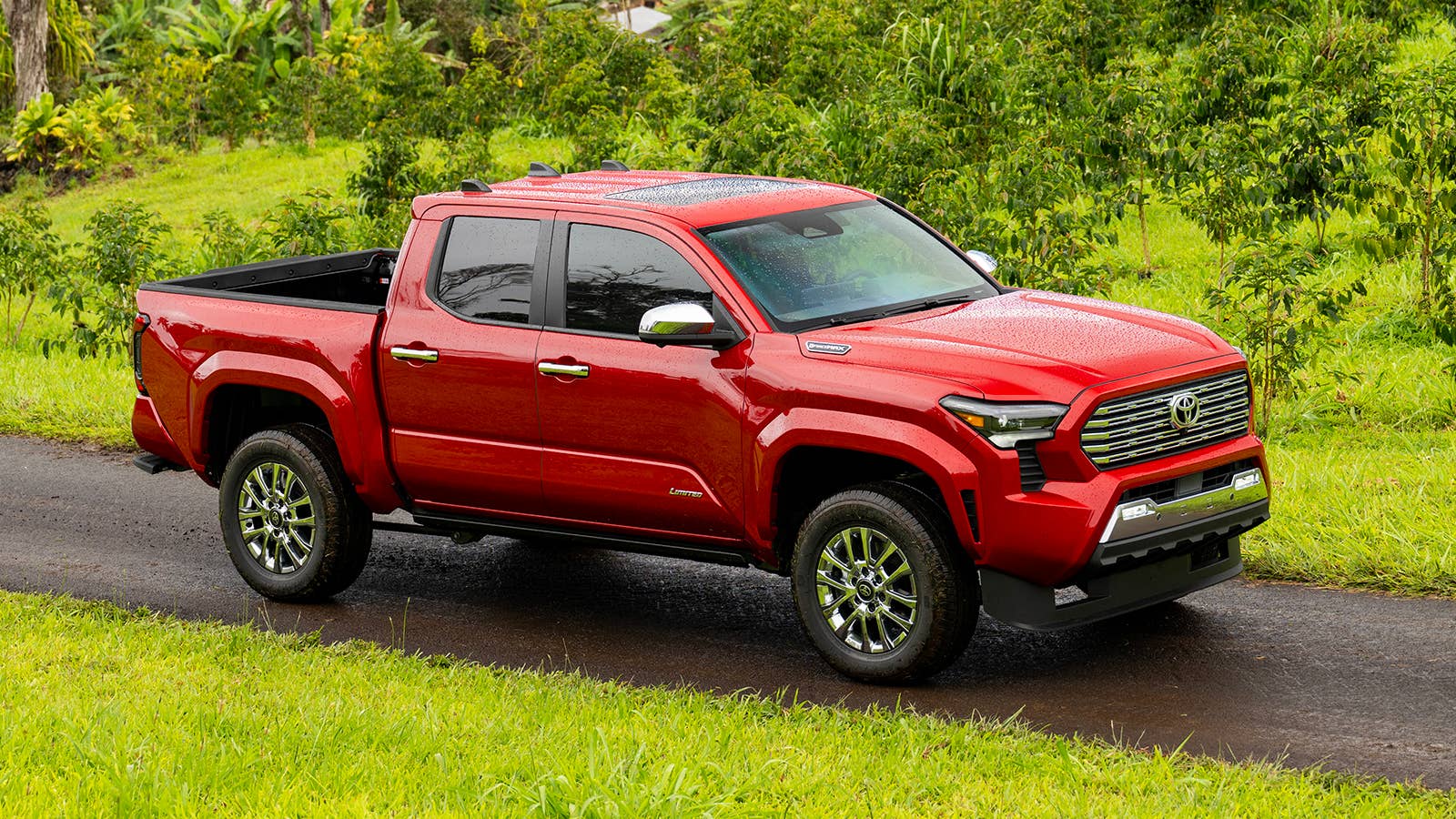 2024 Toyota Tacoma Limited