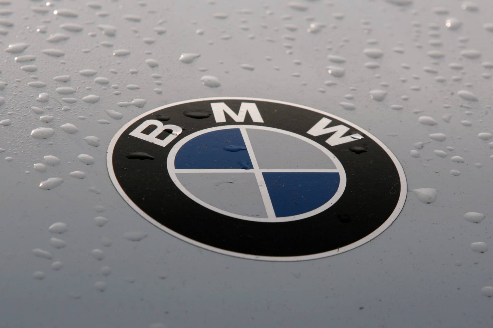 Touring Cars - DTM - Brands Hatch - 19/5/12 nGeneral View of BMW Badge nMandatory Credit: Action Images / Gareth Bumstead