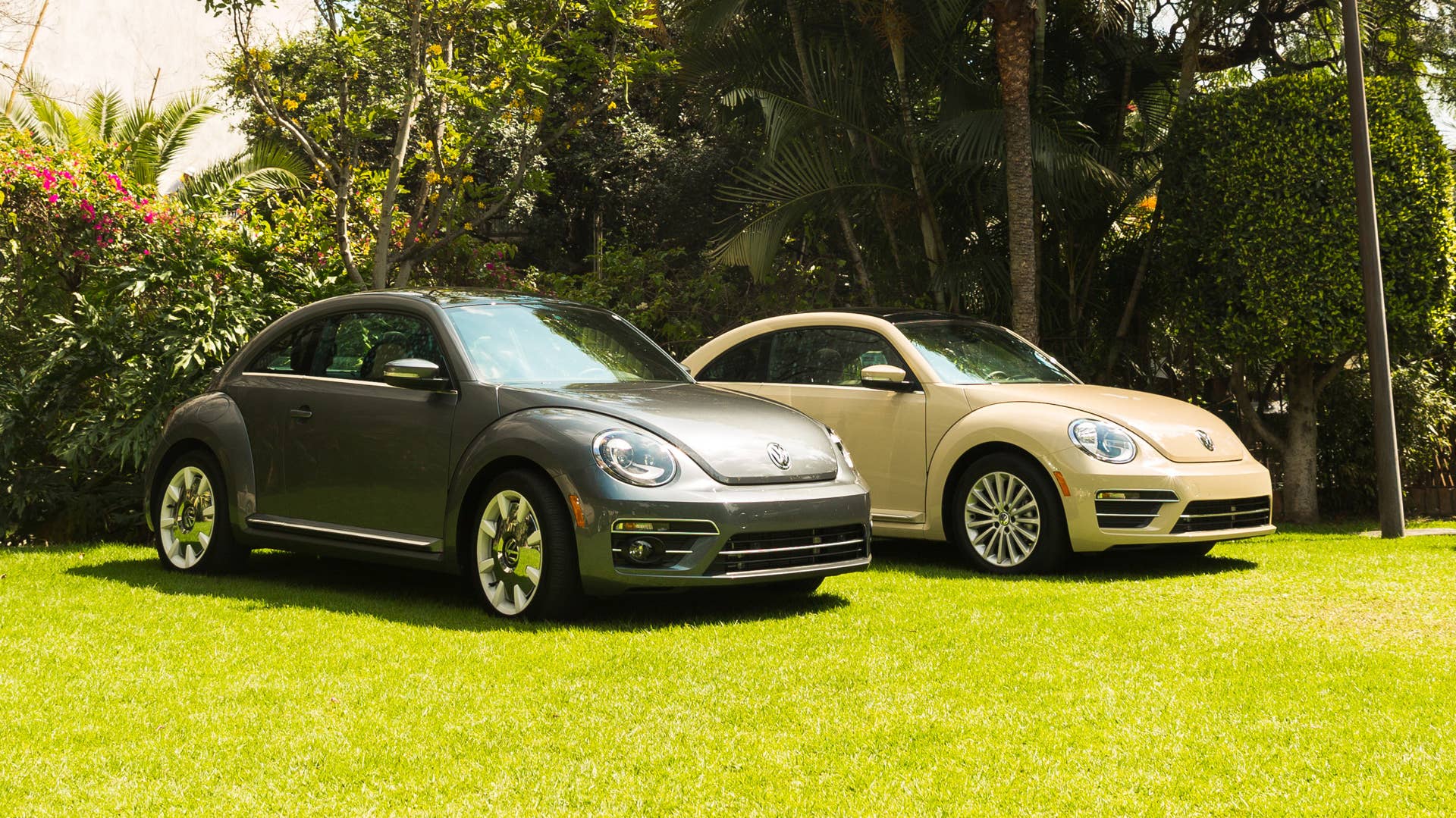 2019 VW Beetle Final Edition