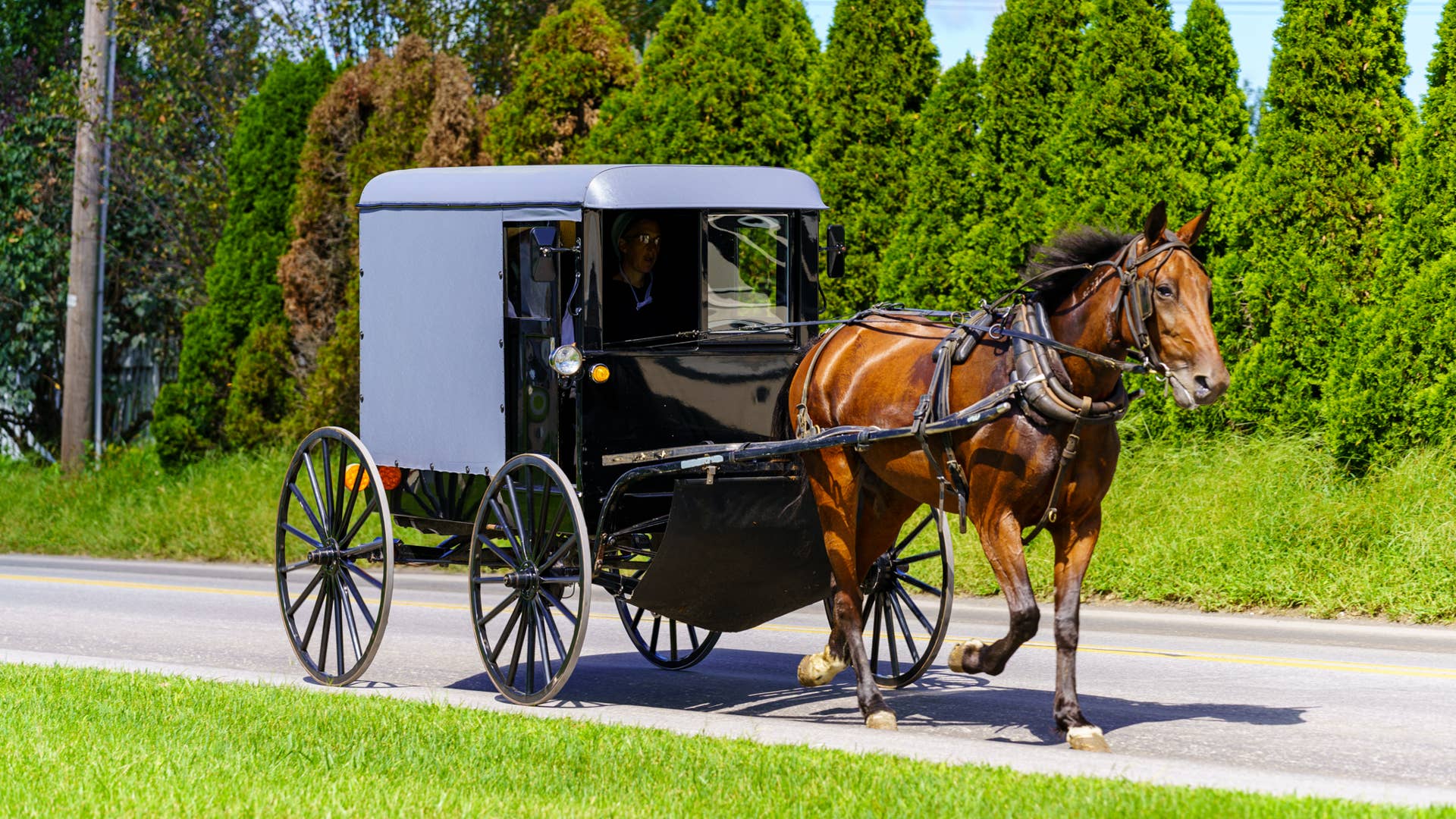 Ronks, PA, USA - August 30, 2020: An Amish buggy travels on a rural road in Lancaster County.