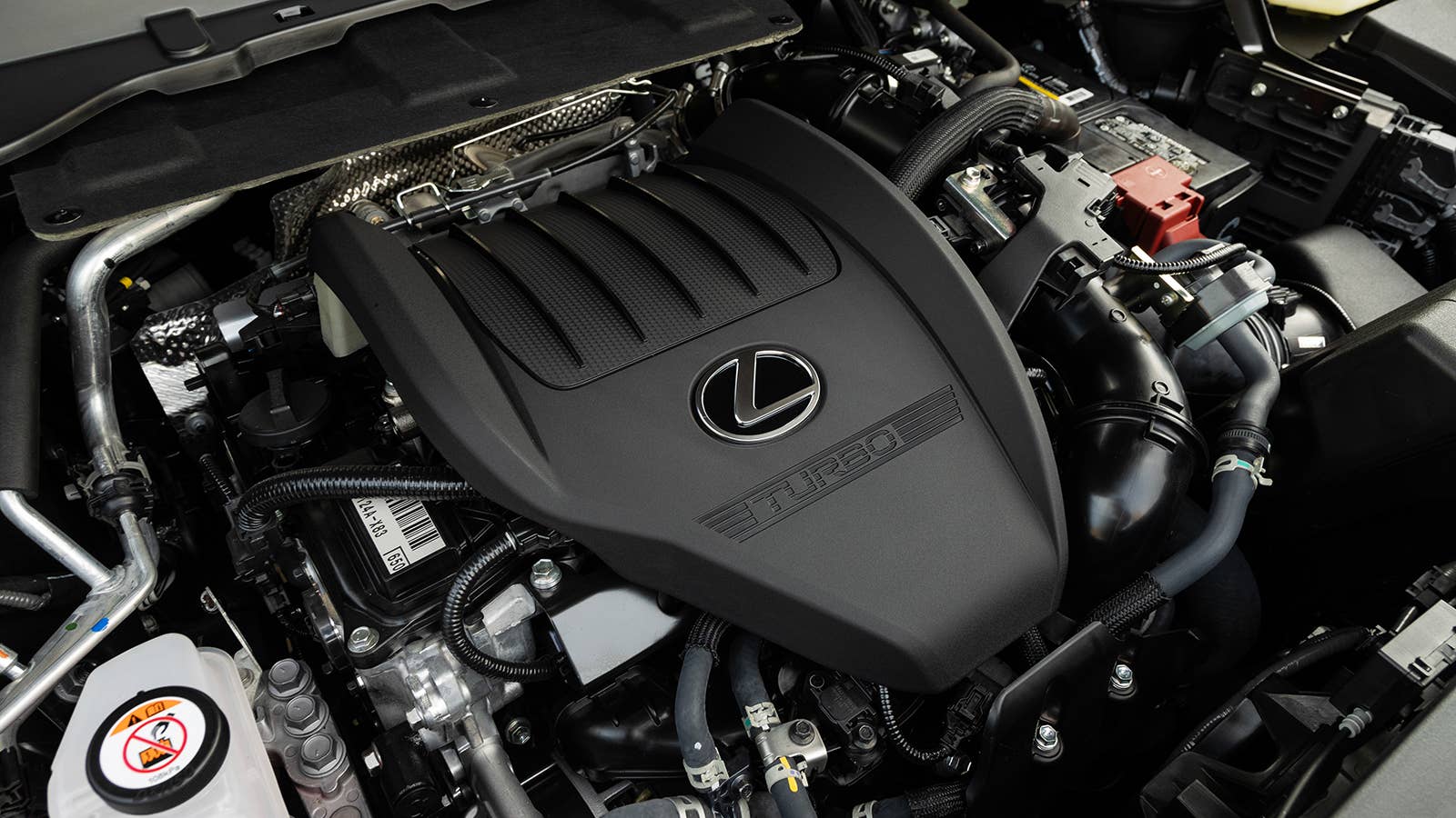 2024 Lexus TX 350