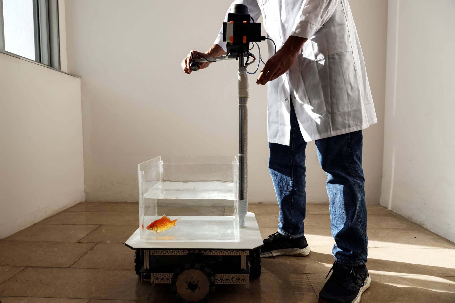 A researcher adjusts a fish-operated vehicle navigated by a goldfish, developed at Ben-Gurion University in Beersheba, Israel, January 6, 2022. Picture taken January 6, 2022. REUTERS/Ronen Zvulun