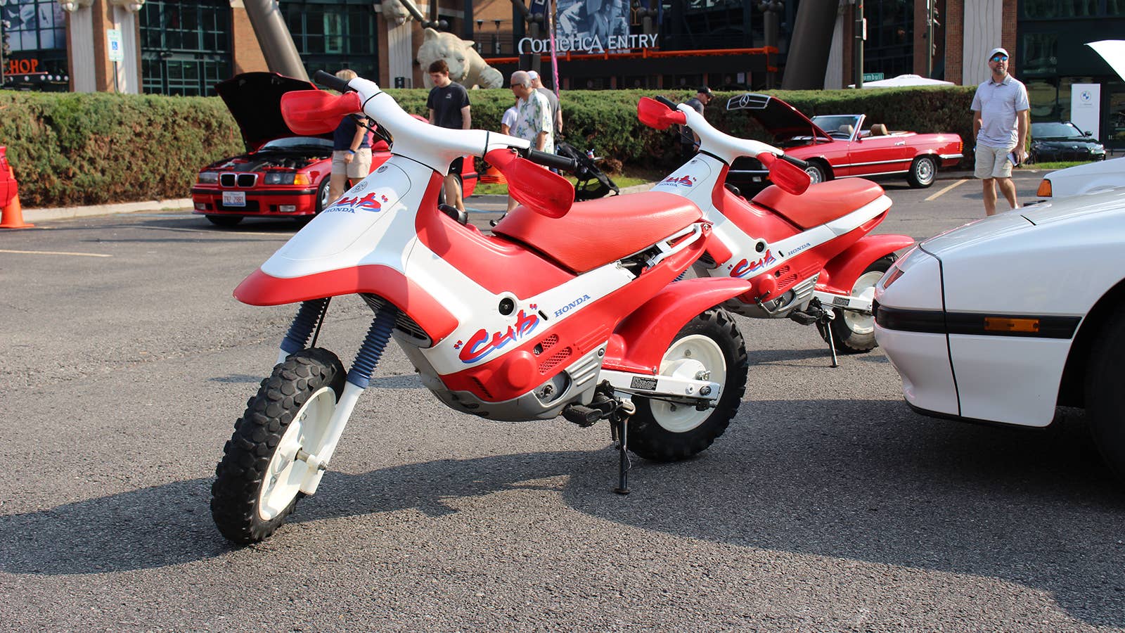 Honda Cub scooters