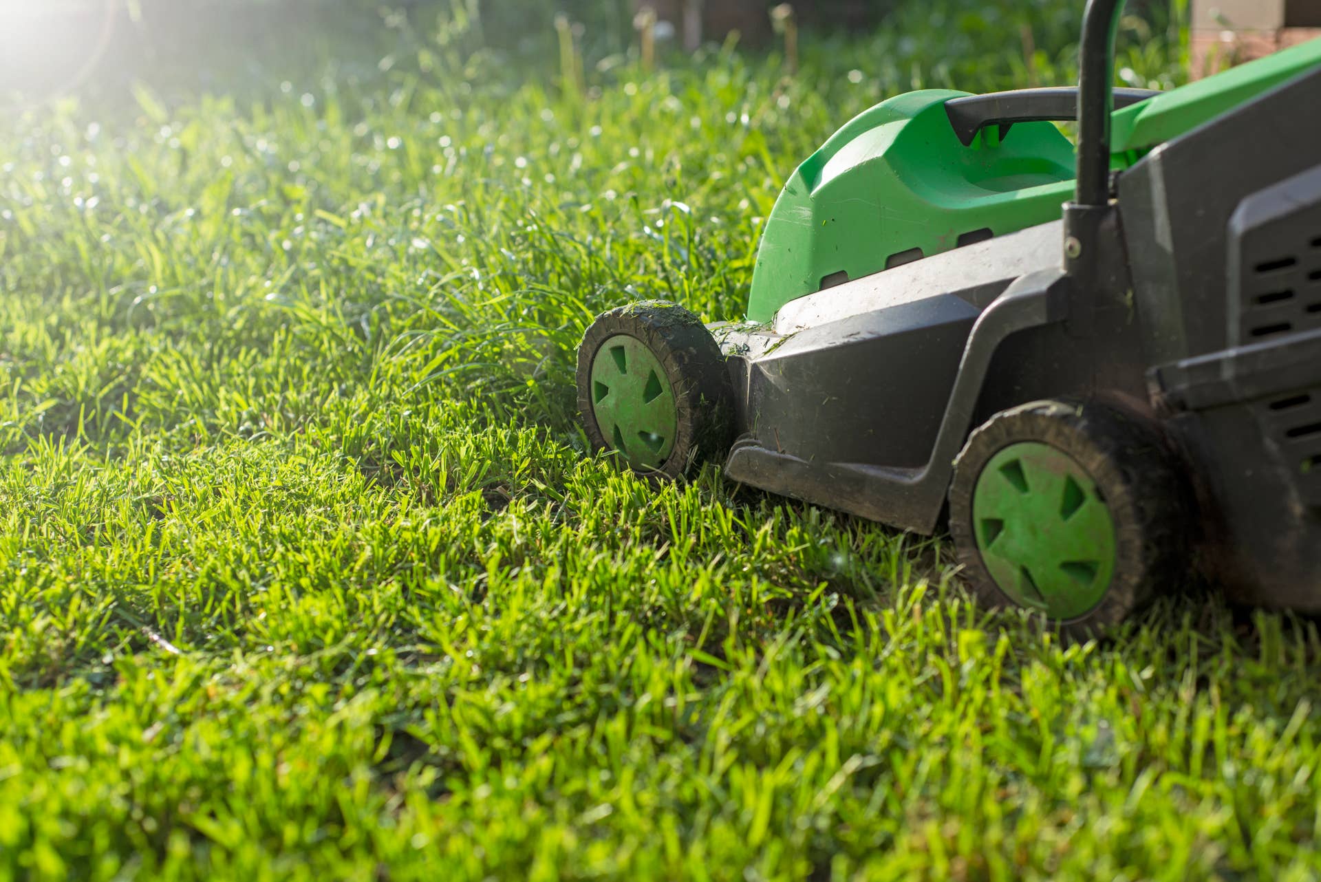 Summer and spring season sunny lawn mowing in the garden.