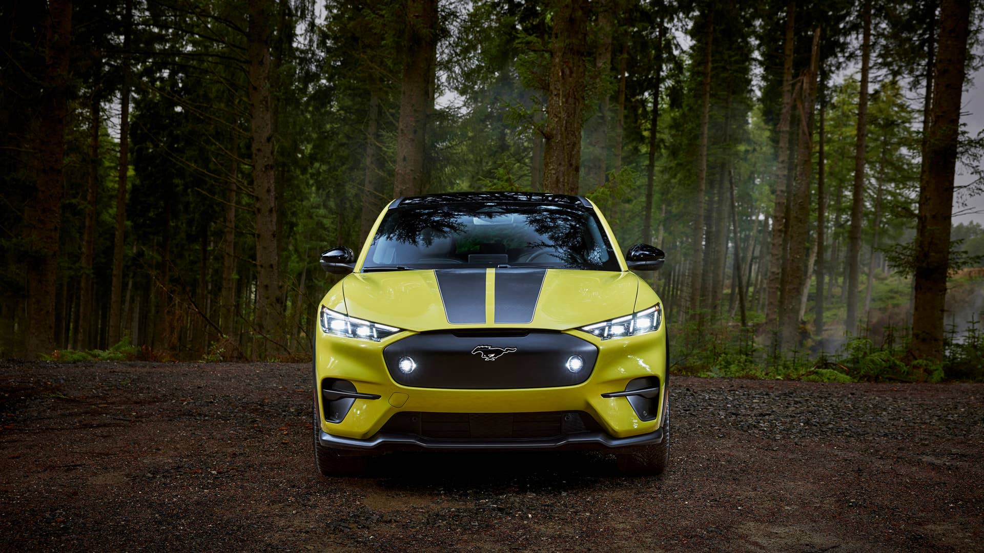 (Prototype model shown with avilable Ford accessories. Always consult the Owner’s Manual before off-road driving, know your terrain and trail difficulty, and use appropriate safety gear.)