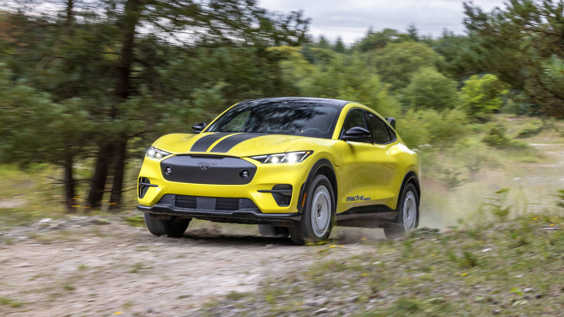 (Prototype model shown with avilable Ford accessories. Always consult the Owner’s Manual before off-road driving, know your terrain and trail difficulty, and use appropriate safety gear.)