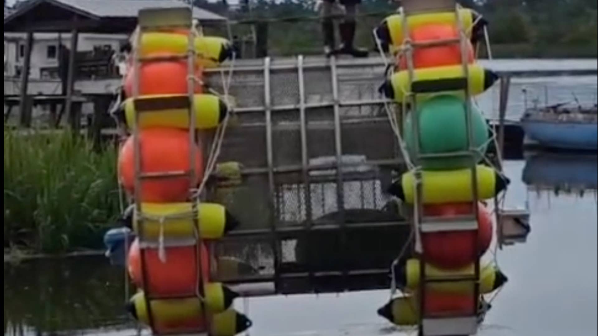 Florida man tried piloting giant floating hamster wheel in the Atlantic ...