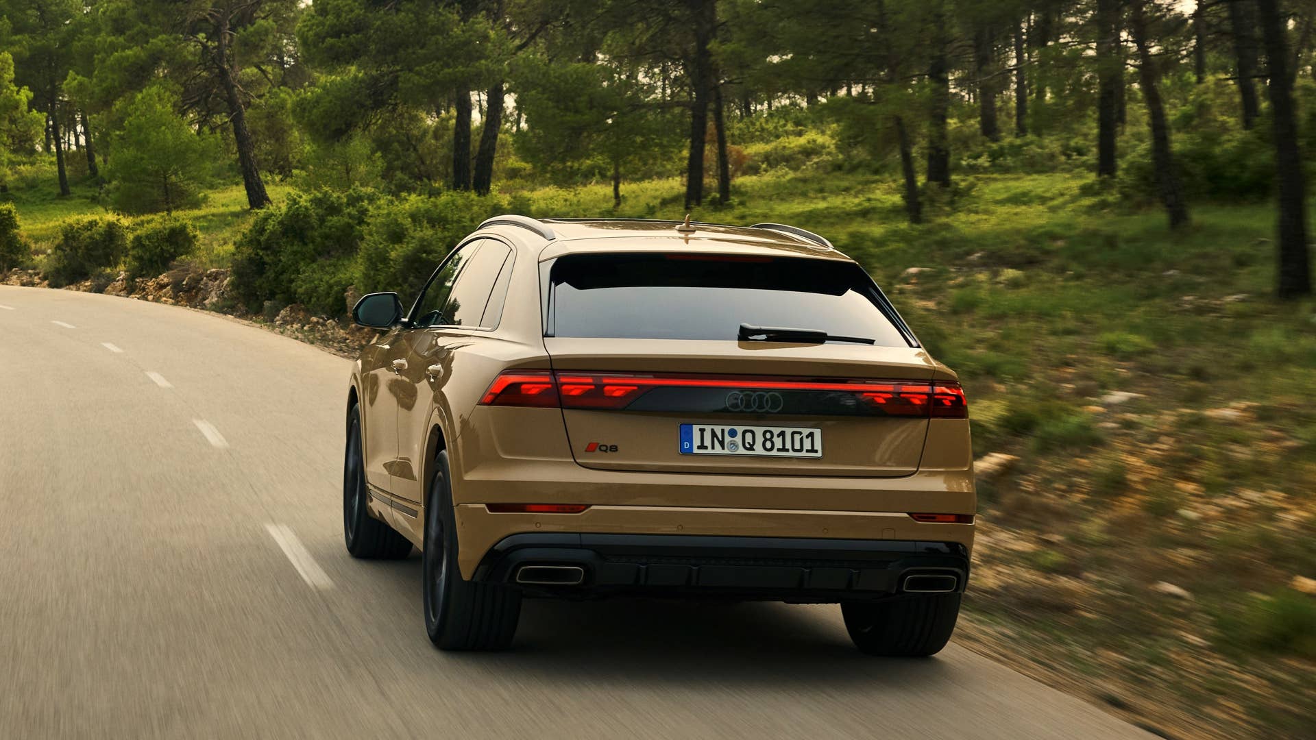Dynamic photo, Colour: Sakhir gold metallic