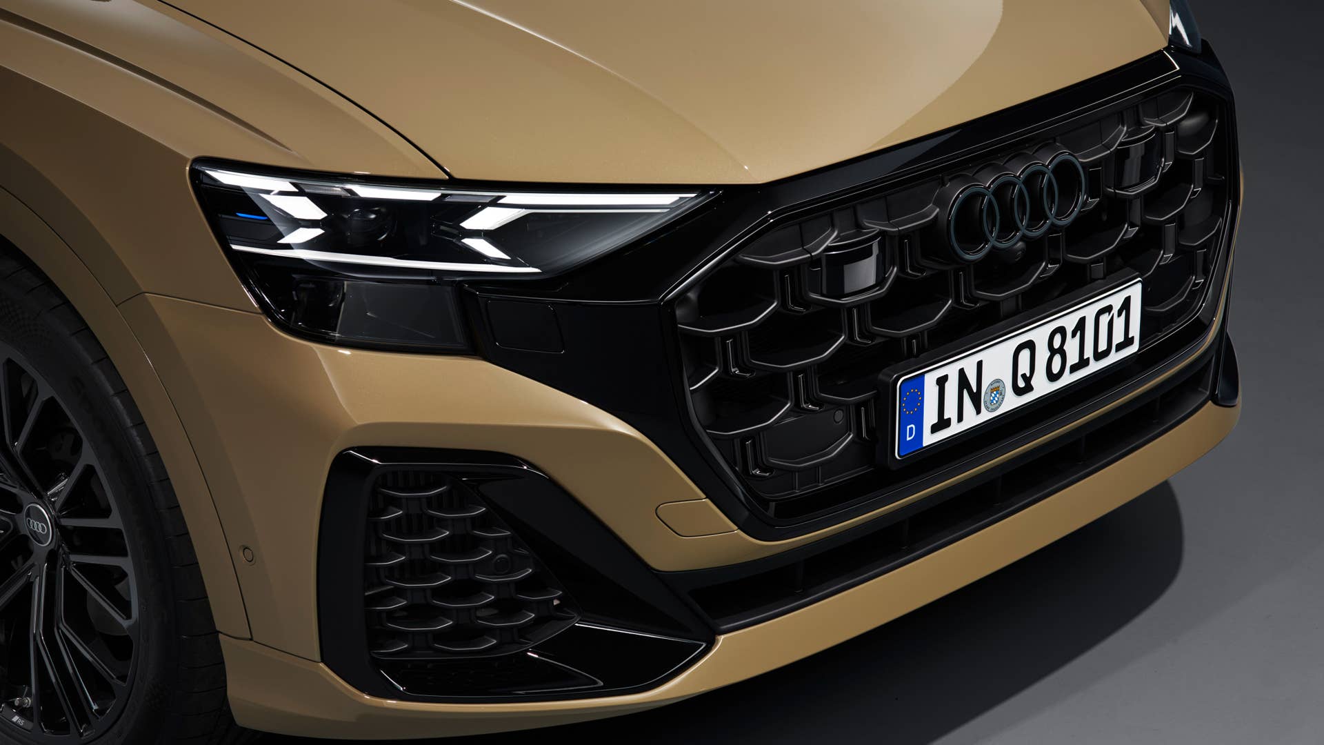 Detail, Colour: Sakhir gold metallic