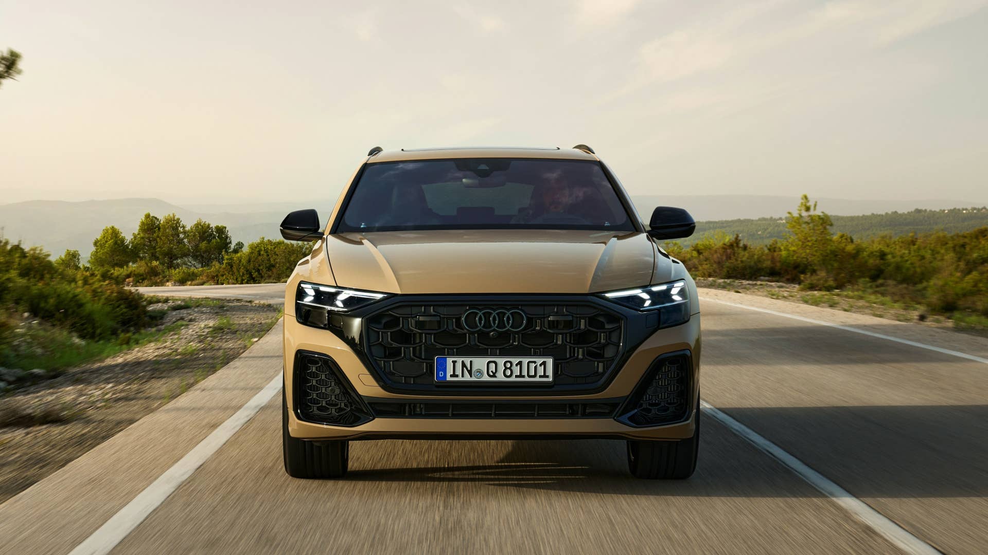 Dynamic photo, Colour: Sakhir gold metallic