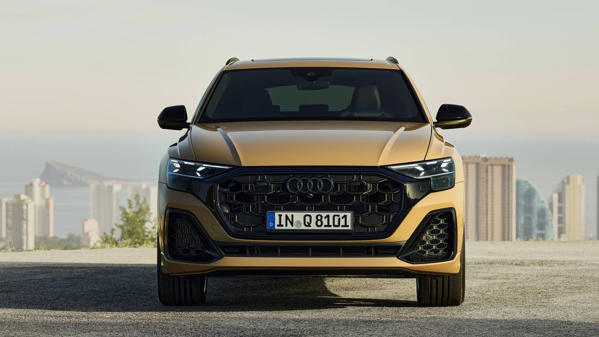 Static photo, Colour: Sakhir gold metallic