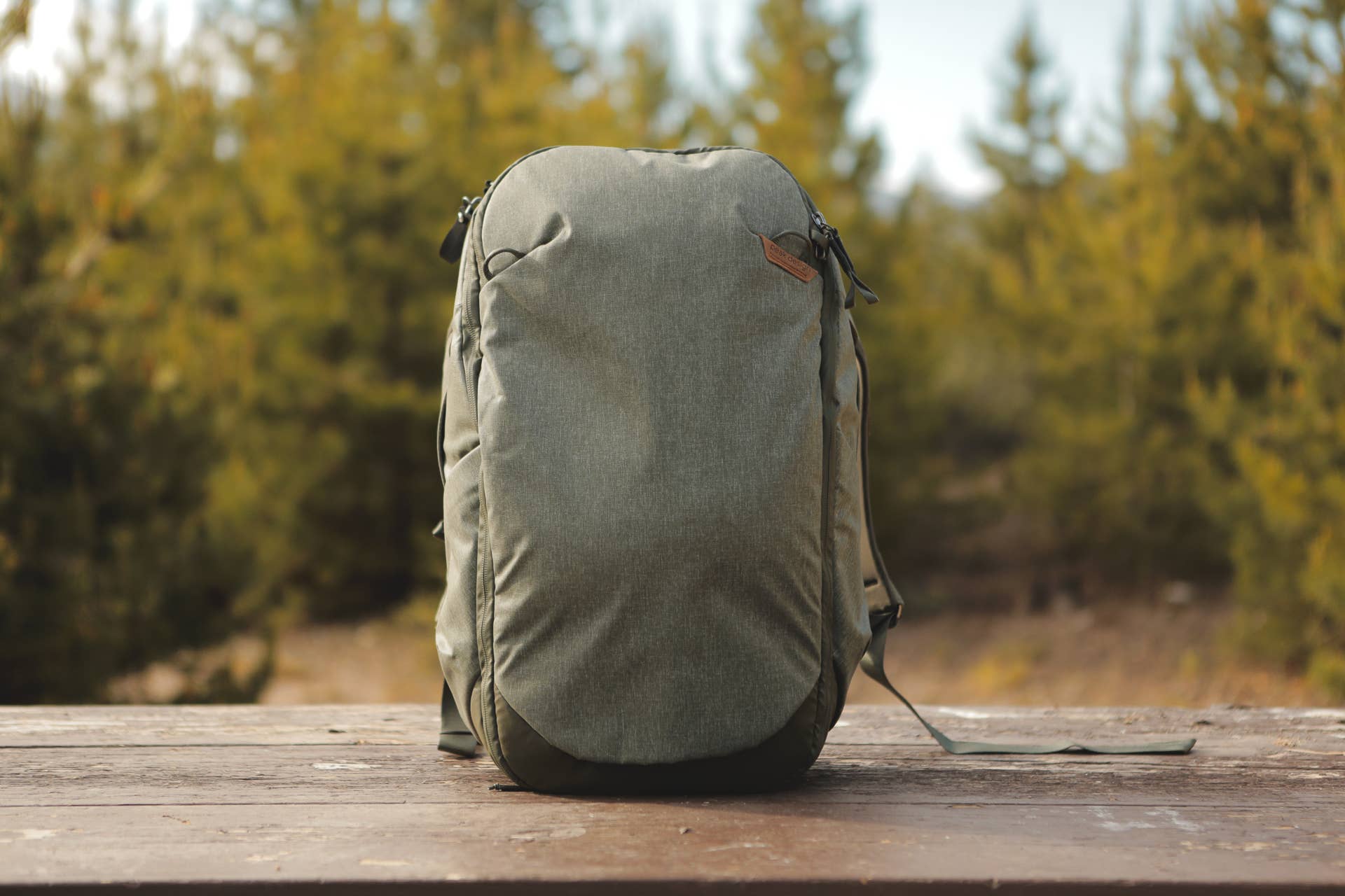 The North Face, Patagonia, Peak Design and REI weekender bag