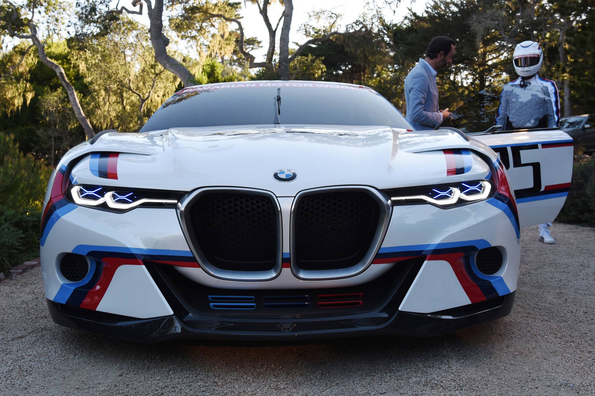front hommage r csl bmw 3.0 grille