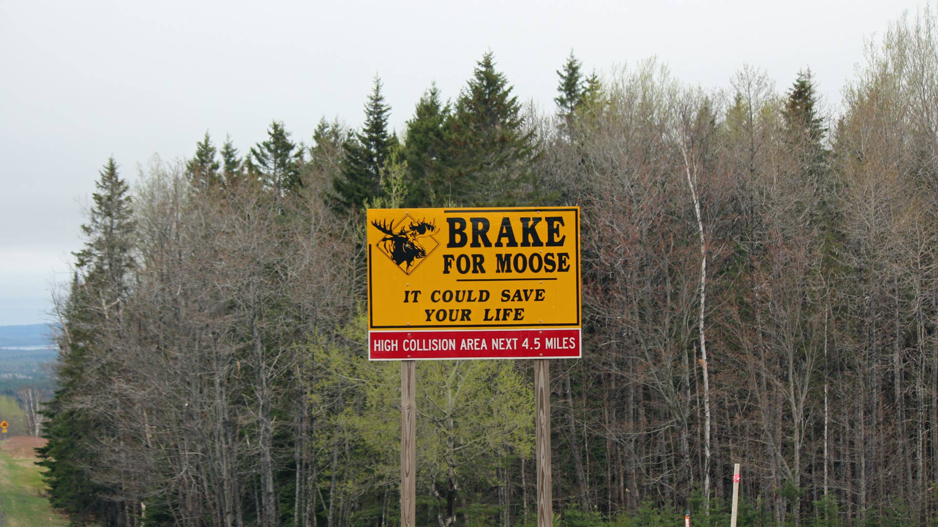 Bar Harbor,Maine USA May 16,2016 Brake for moose road sign
