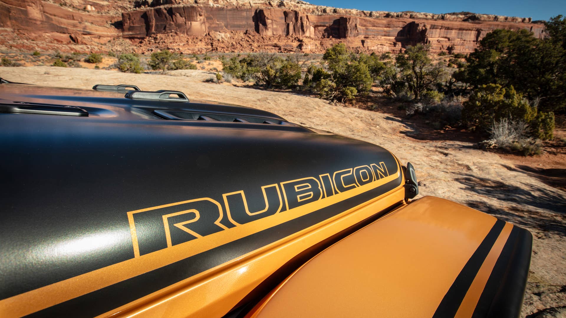 2024 Jeep® Gladiator Rubicon High Top Concept