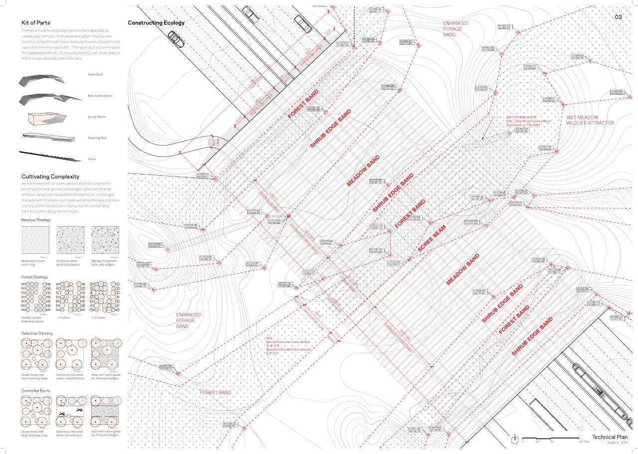 Michael Van Valkenburgh& Associates with HNTB Engineering: Wildlife Crossing