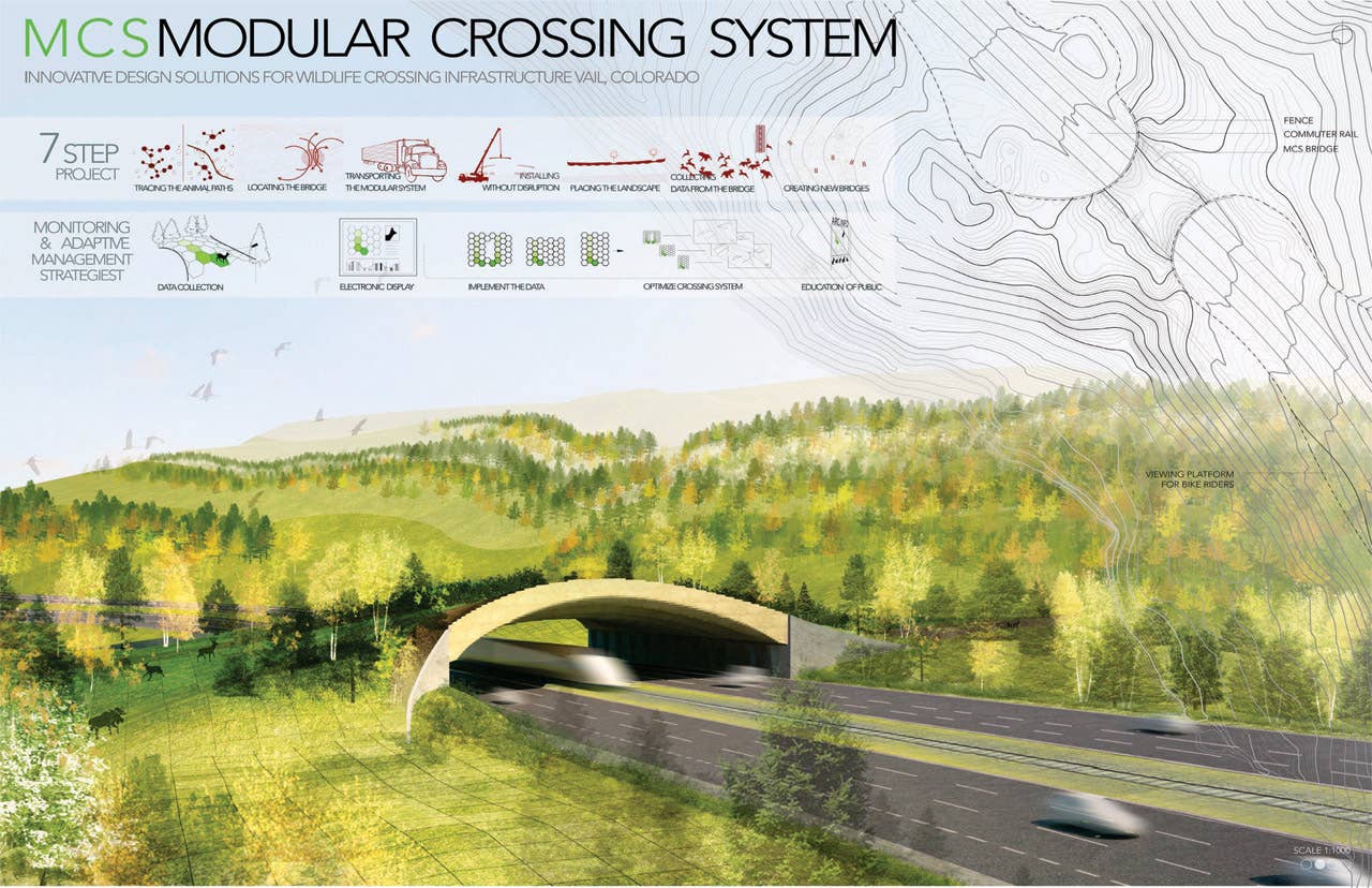 Balmori Associates: Wildlife Crossing