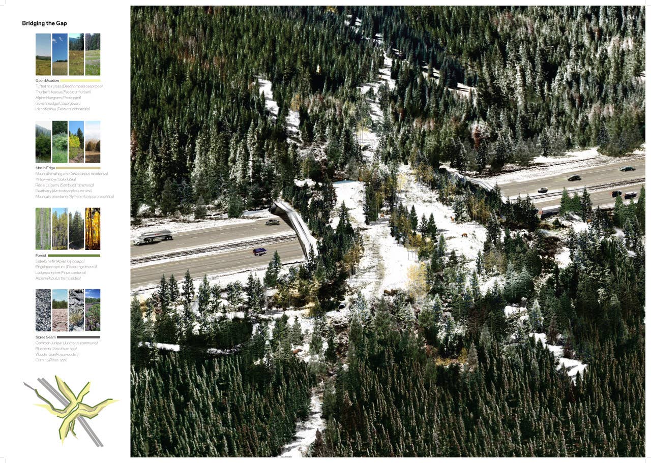 Michael Van Valkenburgh& Associates with HNTB Engineering: Wildlife Crossing