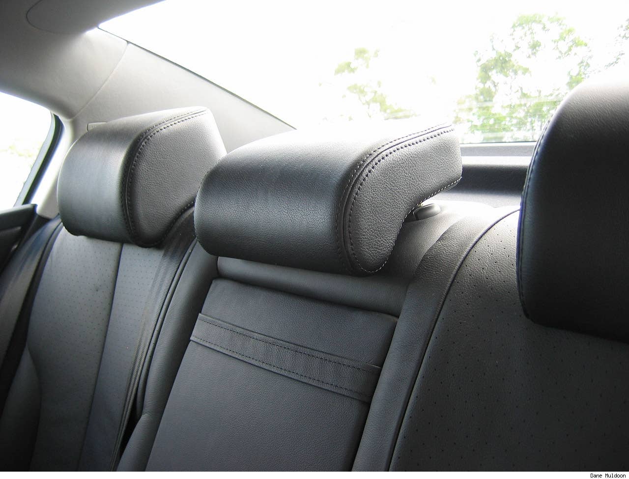 Rear passengers all have headrests and three point seat belts