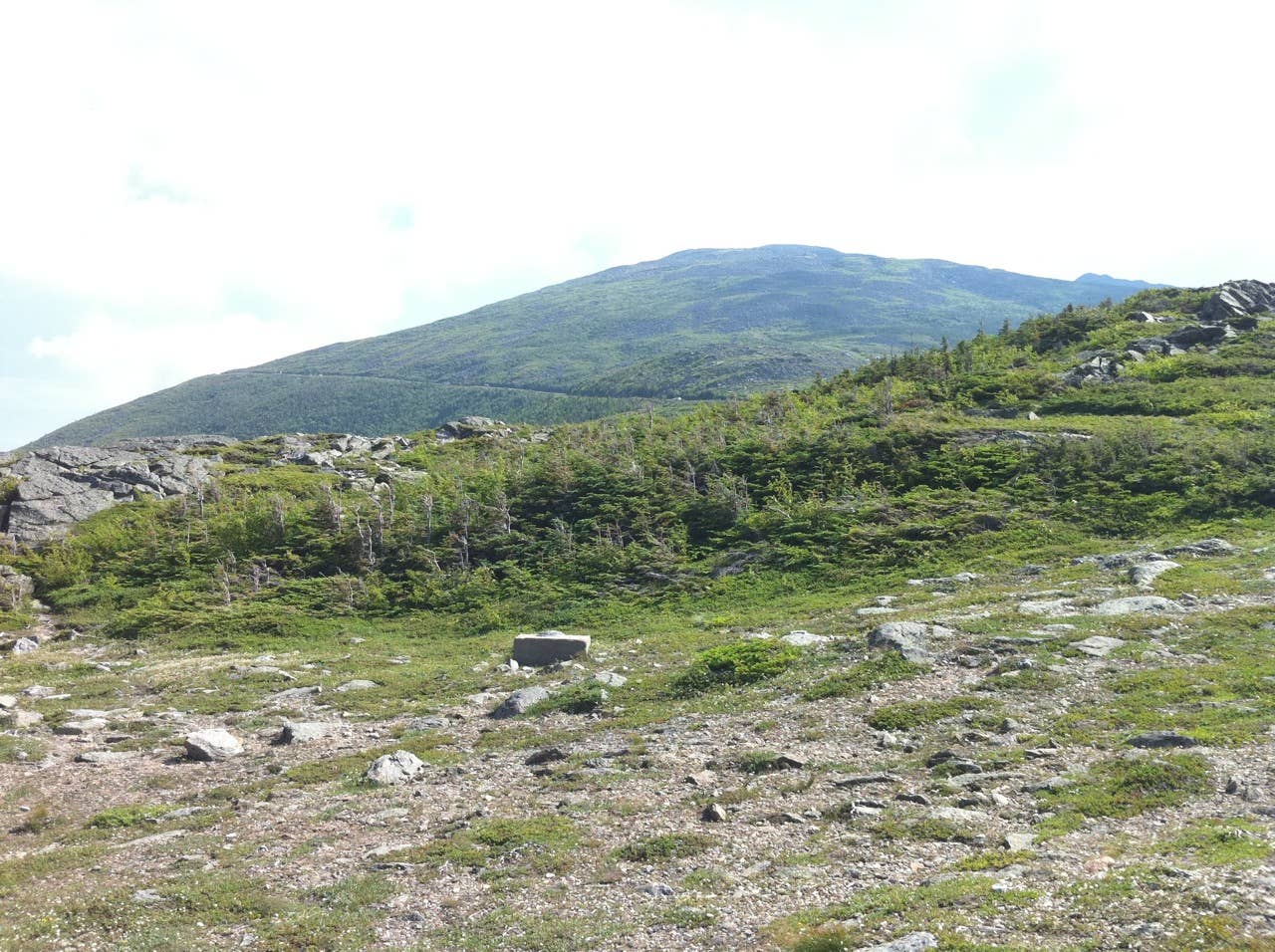 View from Mt. Washington