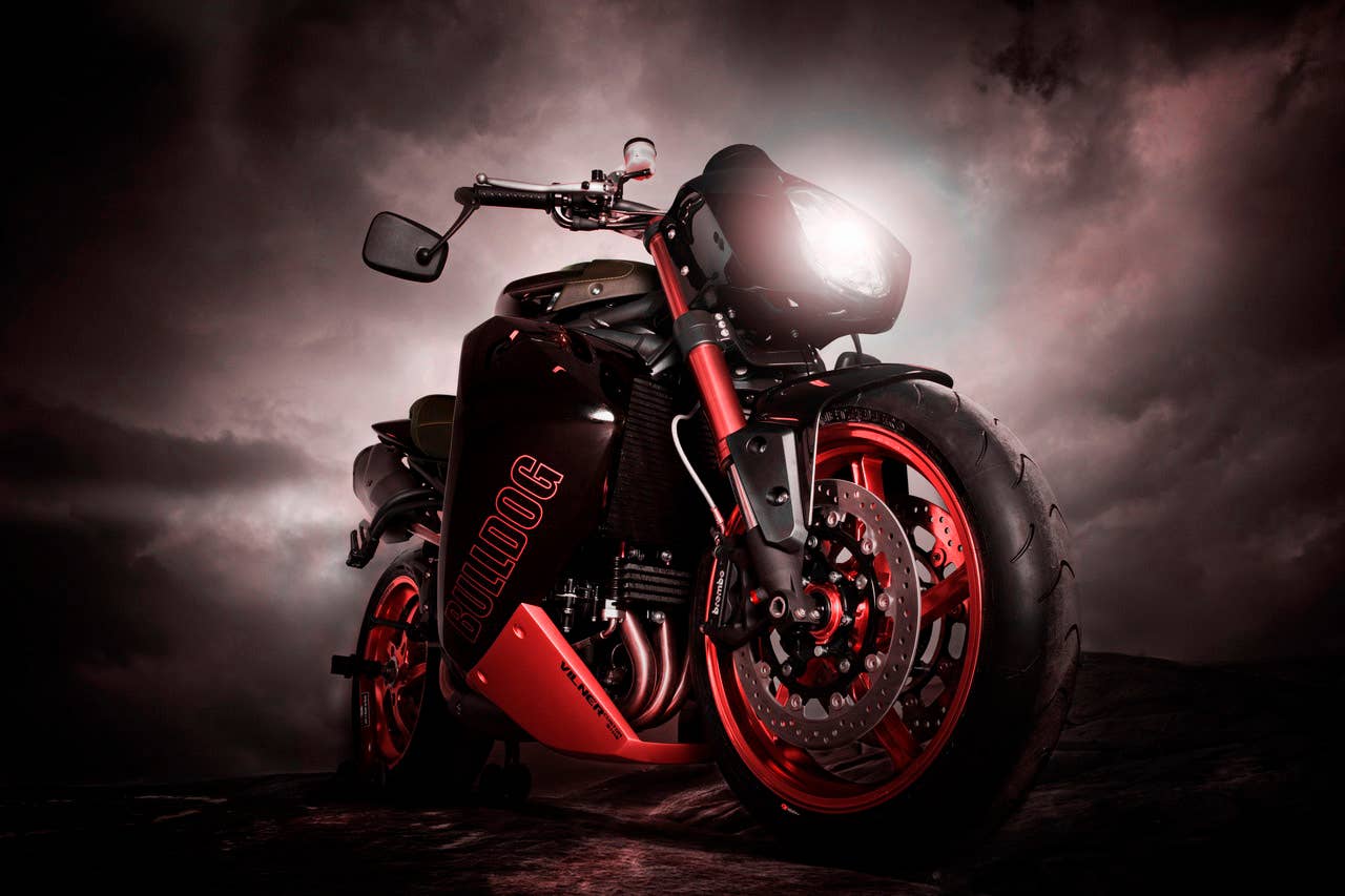 Vilner Bulldog in red