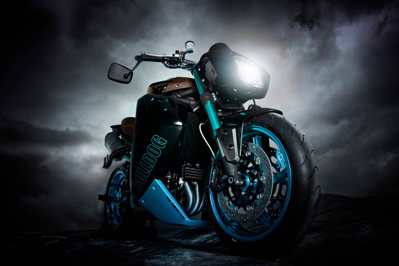 Vilner Bulldog in blue