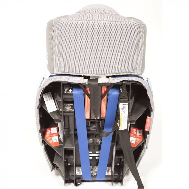 Dale Earnhardt Jr. car seat