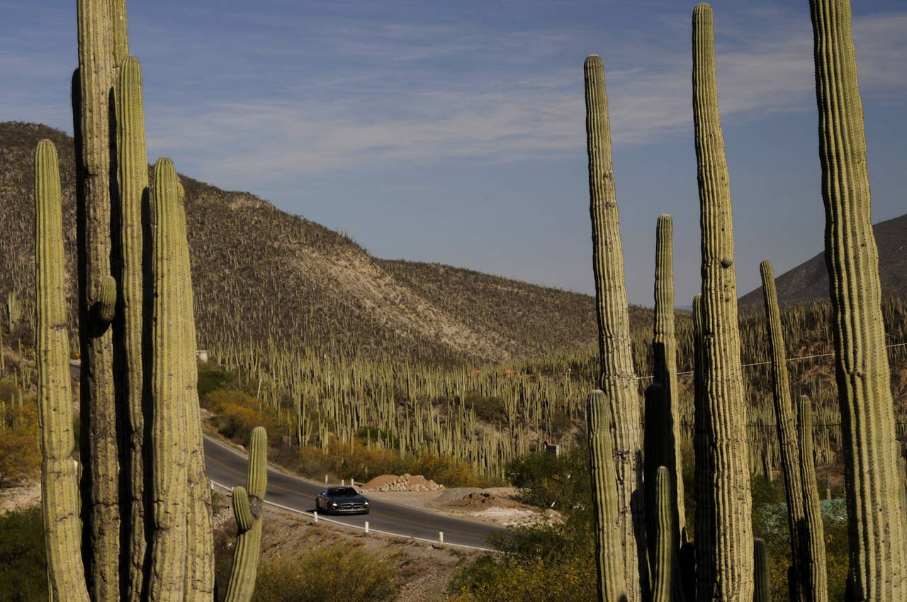 Roots of a legend: Mexicos Carrera Panamericana with the Mercedes-Benz SLS AMG