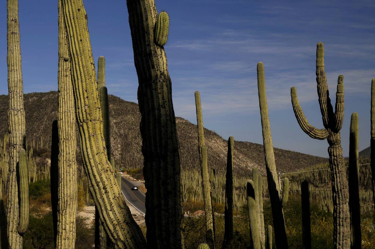 Roots of a legend: Mexicos Carrera Panamericana with the Mercedes-Benz SLS AMG
