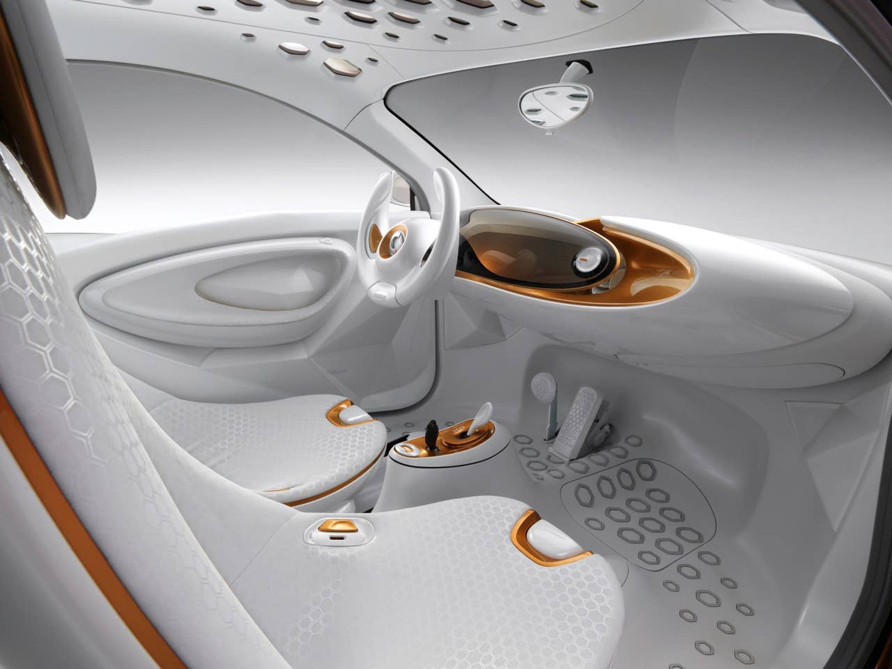 smart forvision  2011