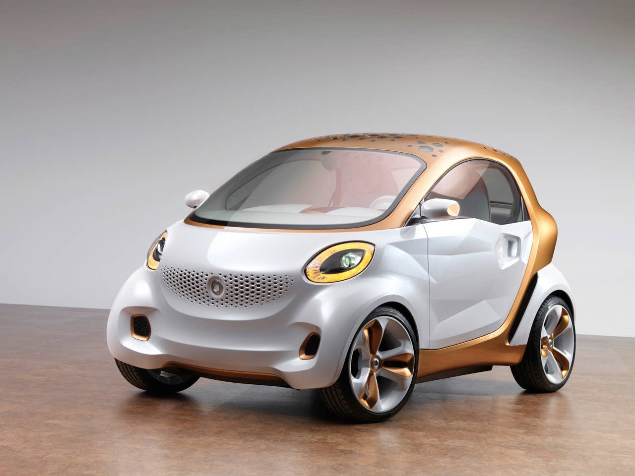 smart forvision  2011