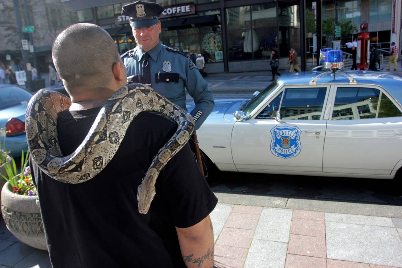 In this image taken Tuesday, April 23, 2013, Seattle police officer Jim Ritter talks to Jonny Galvis at Westlake Park in front of Ritter's parked 1970 Plymouth Satellite police cruiser, in Seattle. Ritter uses the vintage car as his everyday car and for community outreach for the Seattle Police Department. (AP Photo/Manuel Valdes)
