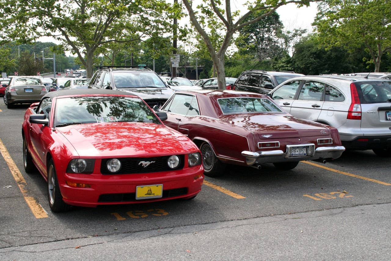 The author's Mustang makes friends with a Riv.