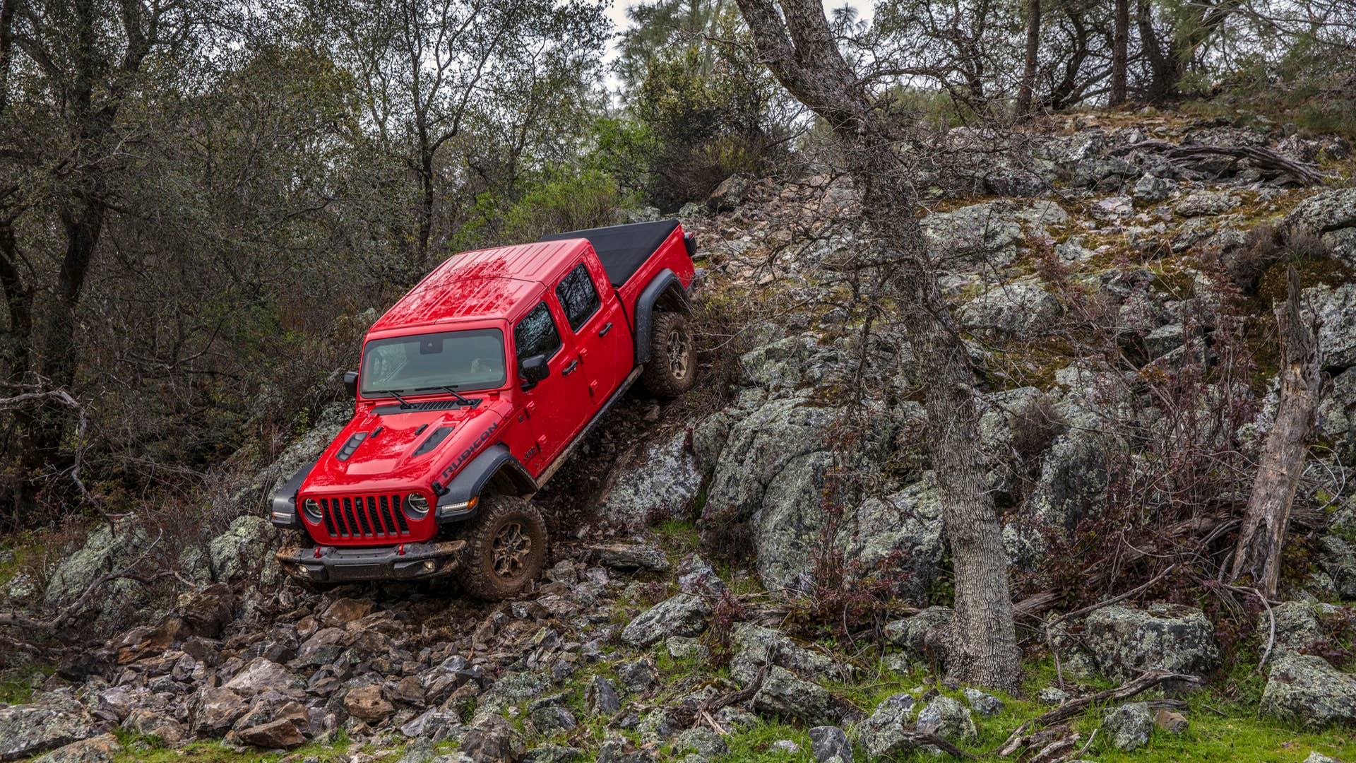 2020 Jeep Gladiator