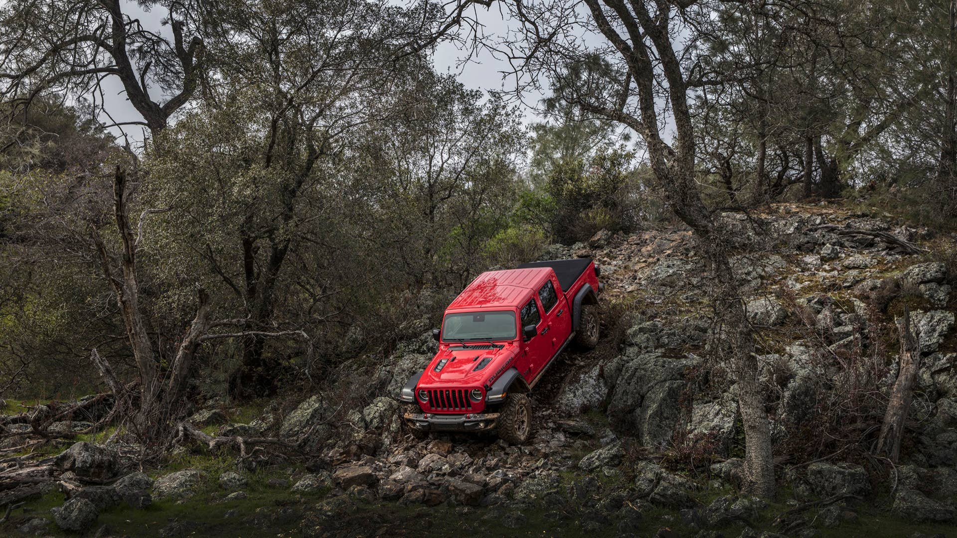 2020 Jeep Gladiator